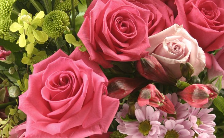 Välja blommor till trädgården Image