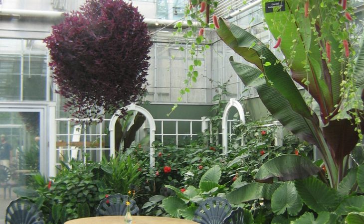 Inred med blommor Image