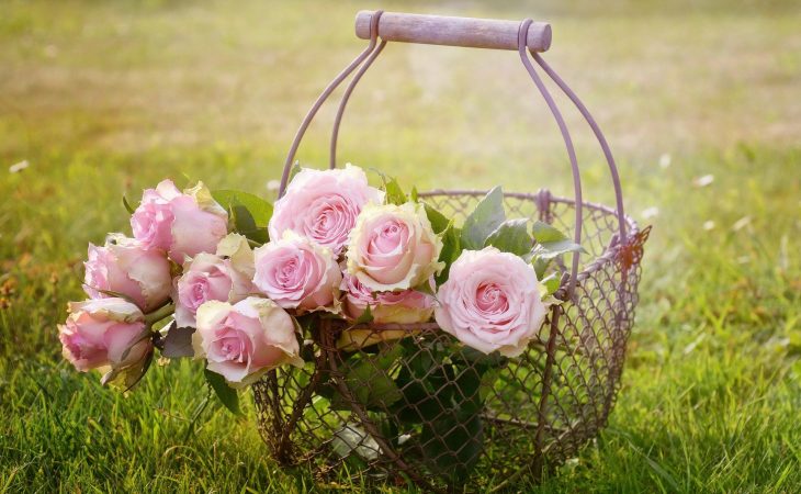 Så får du blommorna att hålla längre Image