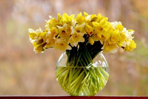 Ge bort blommor i present Image