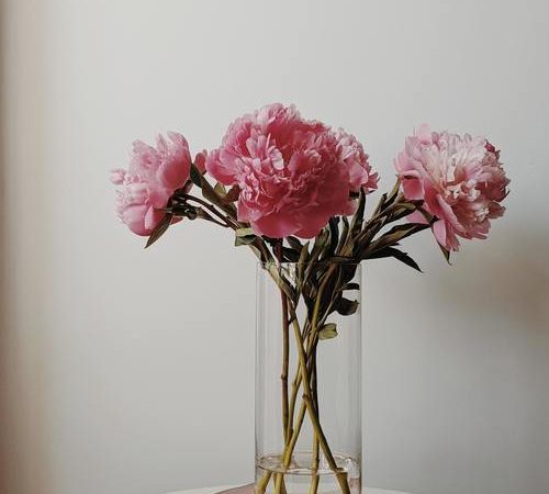 Odla blommor Image
